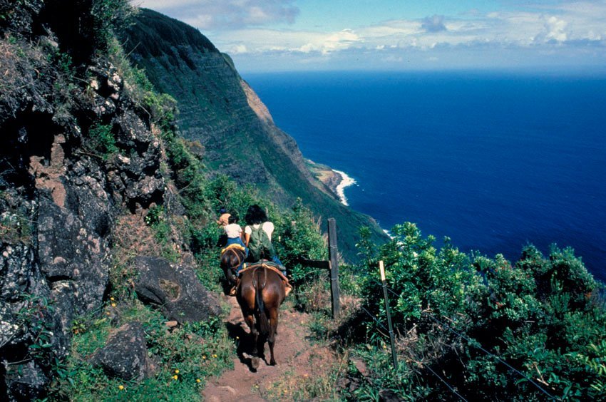 Kalaupapa mule riding tour