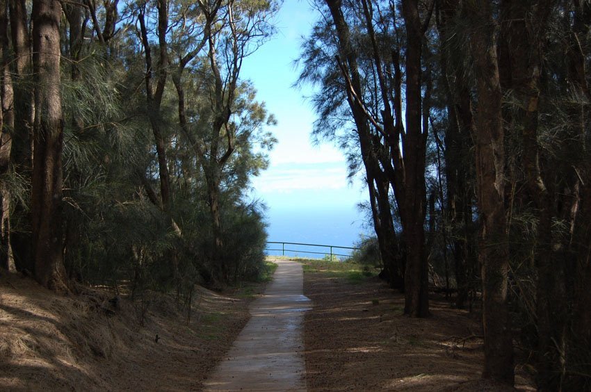 Short trail to Kalaupapa Peninsula Lookout