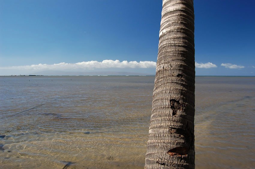 Shallow nearshore water