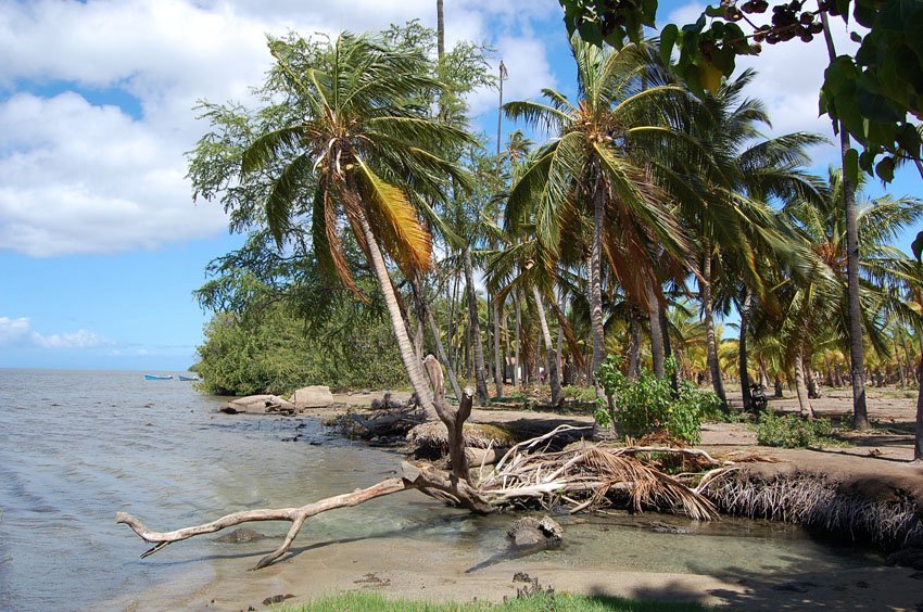 Scenic Molokai shoreline