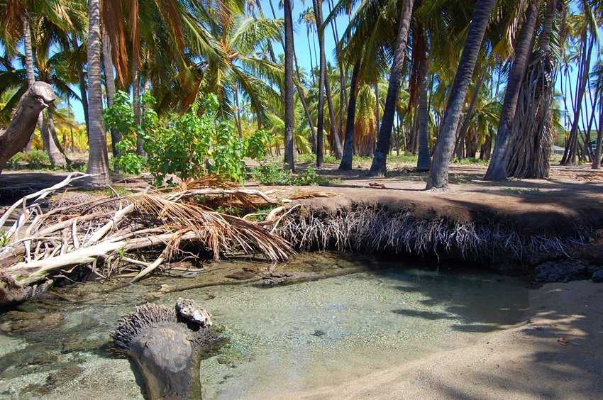 Freshwater spring