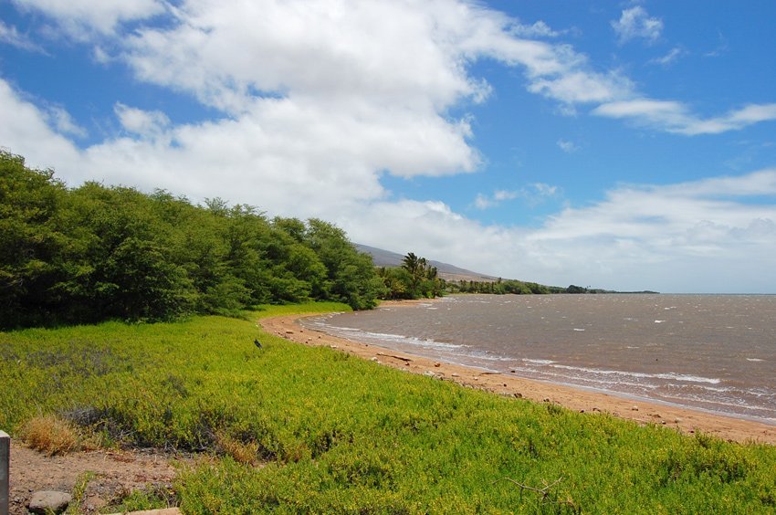 Kaunakakai Wharf Beach