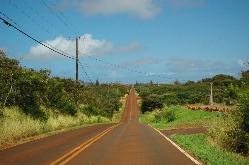 Driving on Airport Loop Road