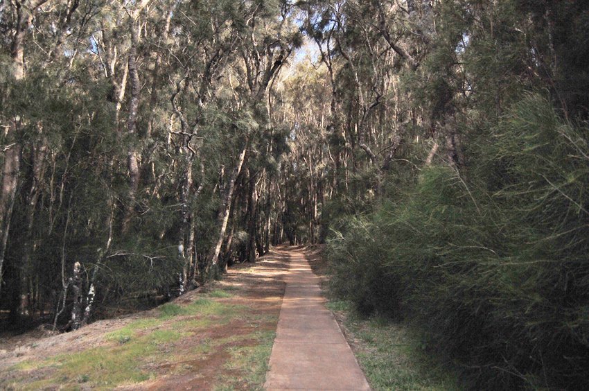 Kalaupapa Lookout trail