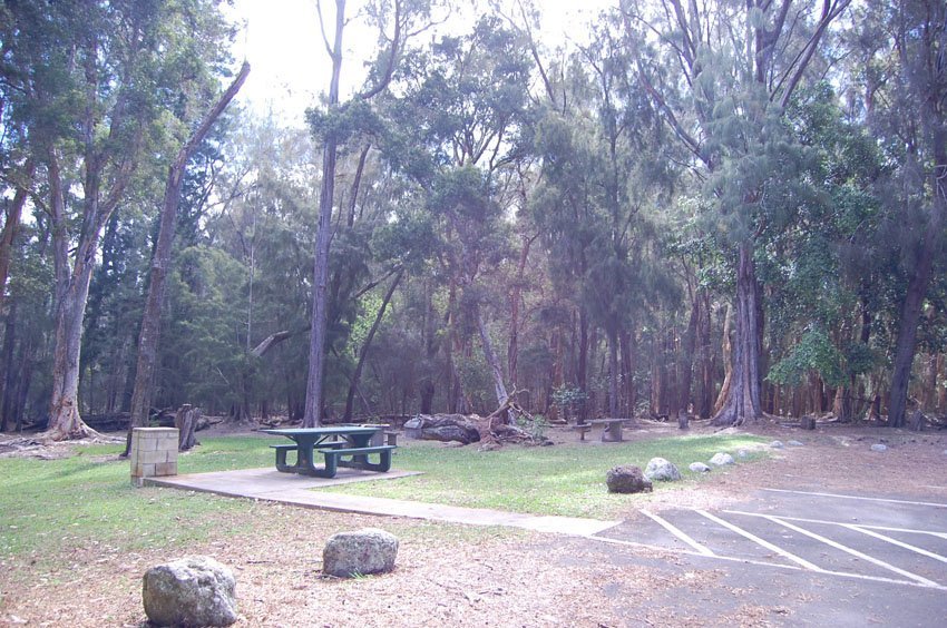 Pala'au State Park on Molokai