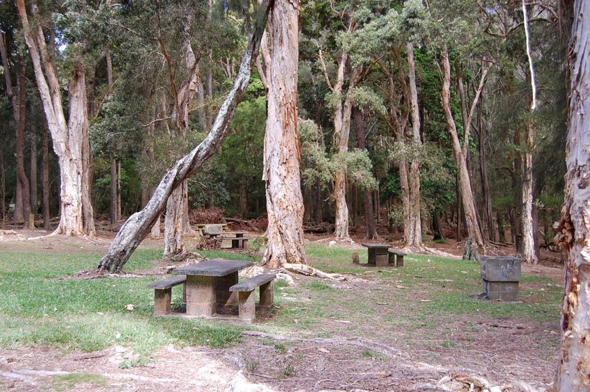 Picnic tables on Molokai