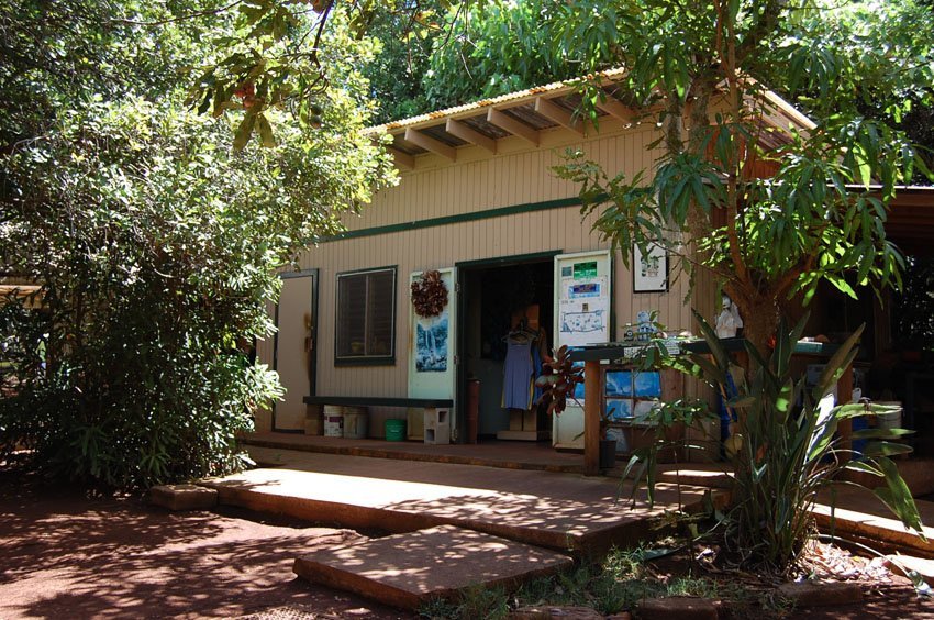 Purdy's Natural Macadamia Nut Farm