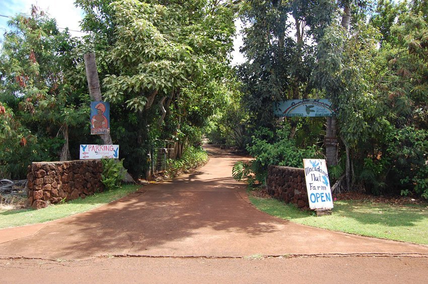 Purdy's Natural Macadamia Nut Farm entrance