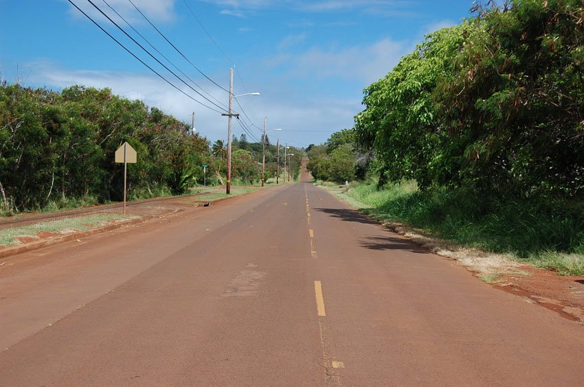 Road to Purdy's Natural Macadamia Nut Farm