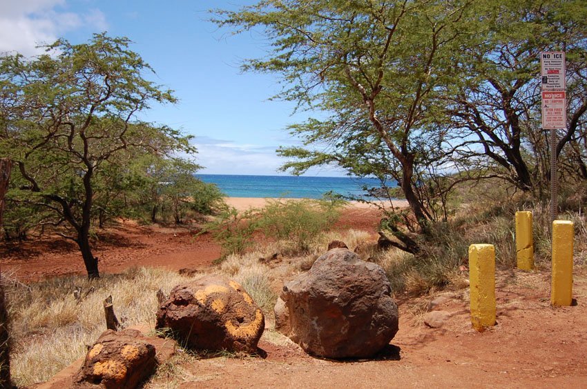 Beach access trail