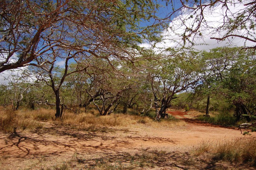 Surrounding scenery on Dixie Maru Beach