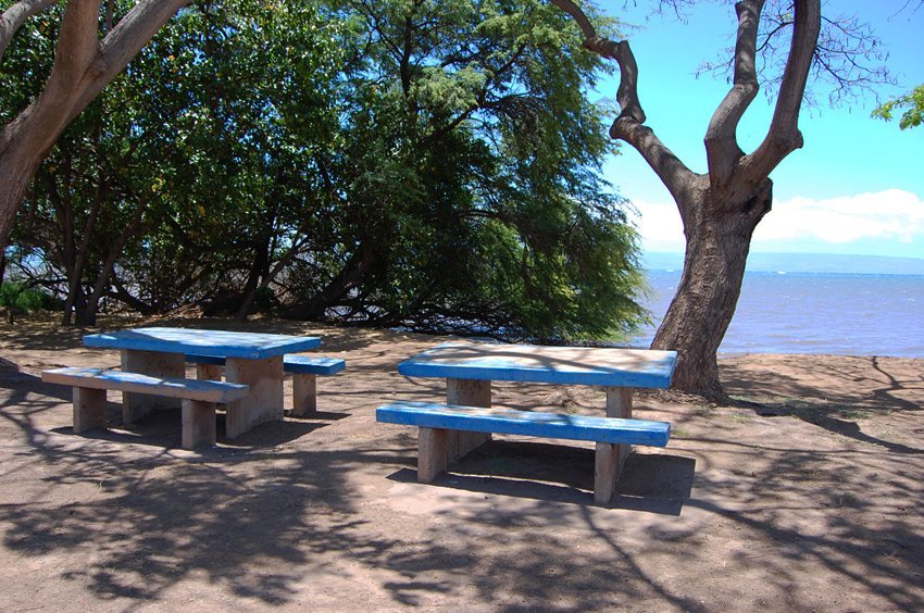 Picnic tables