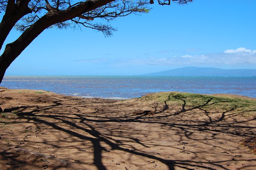 View from a picnic table