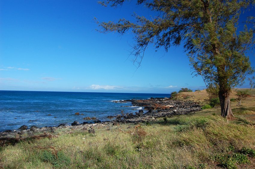 Trail to the norhern part of the beach