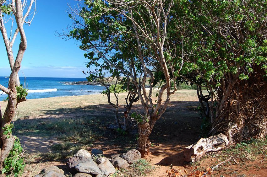 Trail to the norhern part of the beach