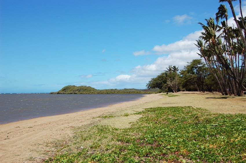 One Ali'i I Beach Molokai