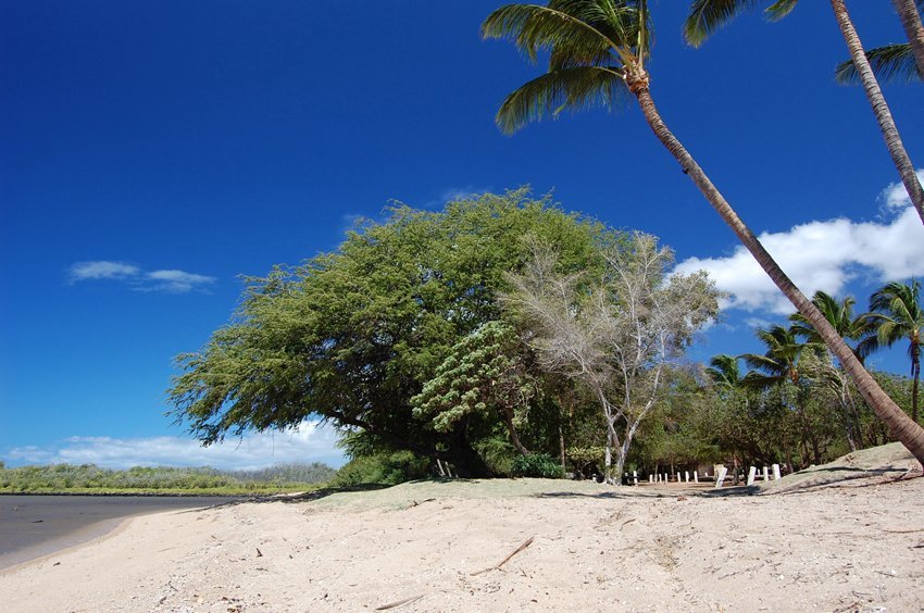 One Ali'i II Beach