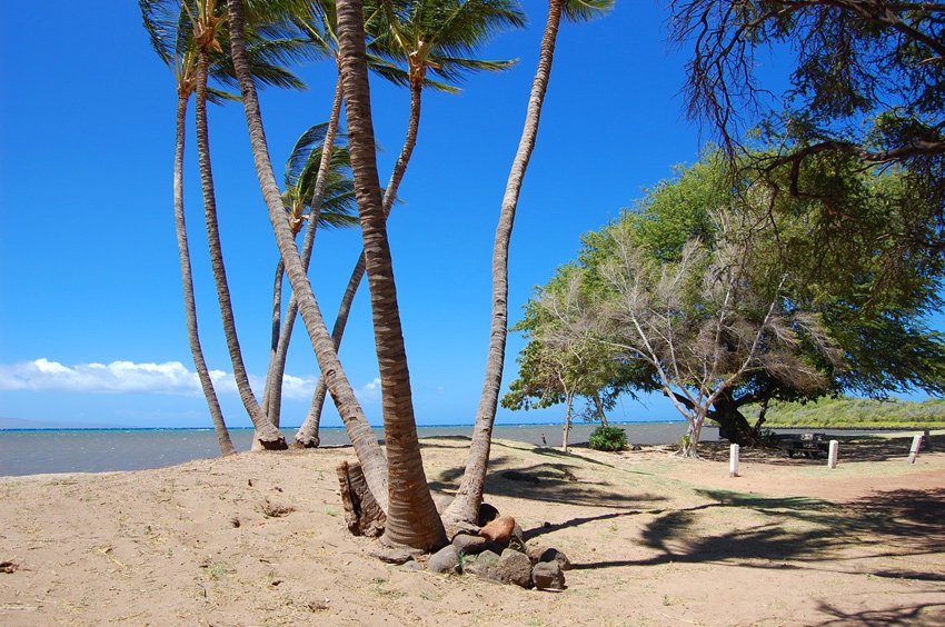 One Ali'i II Beach near Kaunakakai