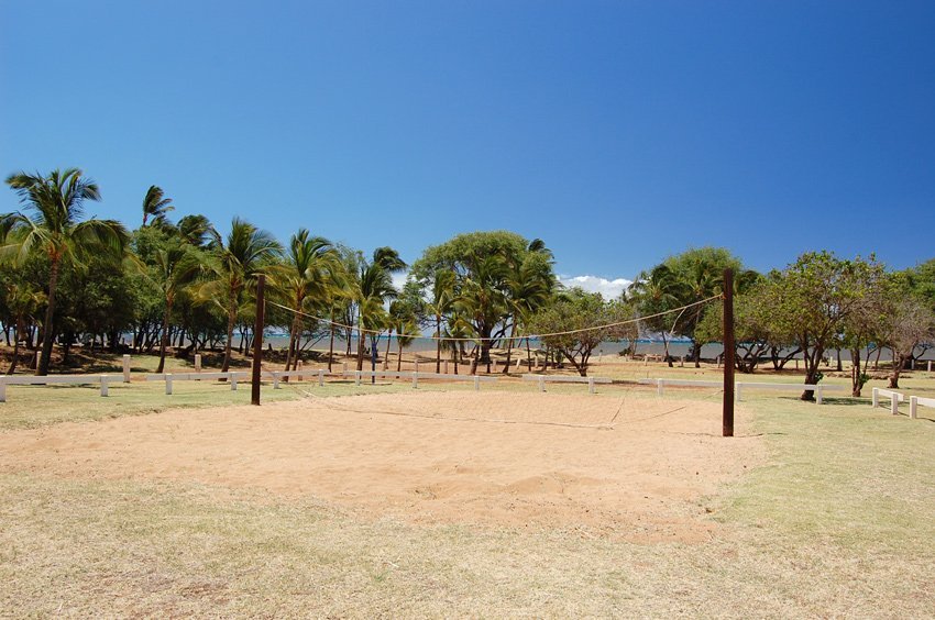 Volleyball field