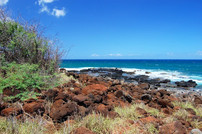 Rocky shoreine