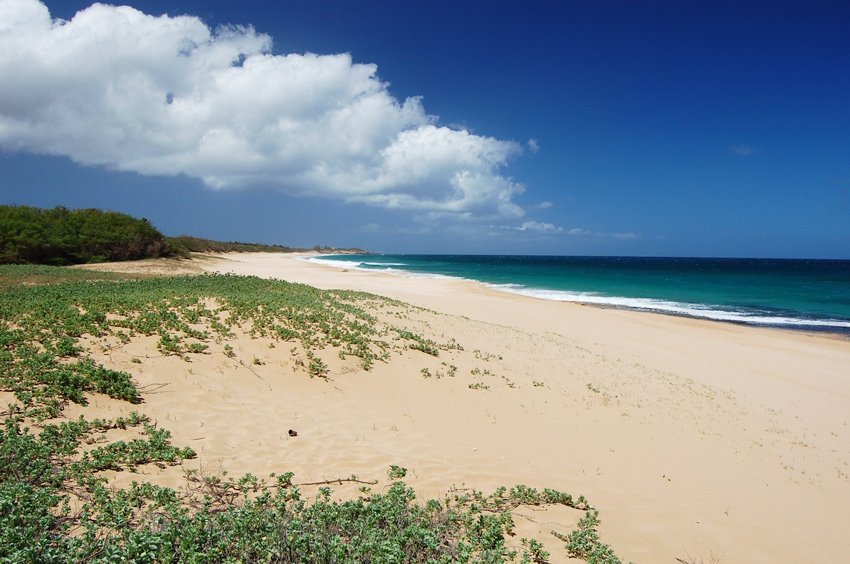 Papohaku Beach