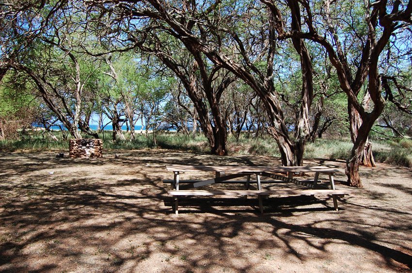 Picnic area