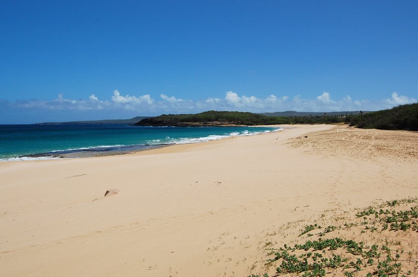 Long sandy beach on Molokai