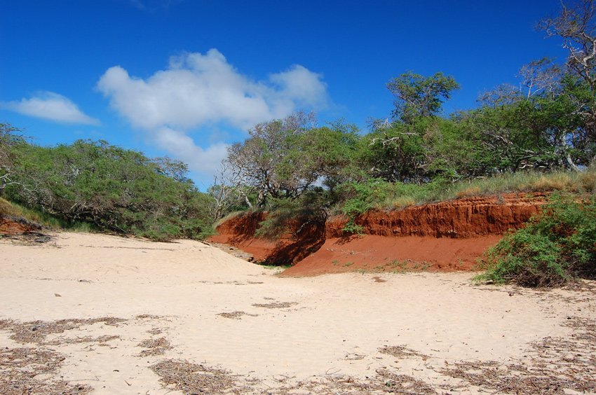 Beach surroundings