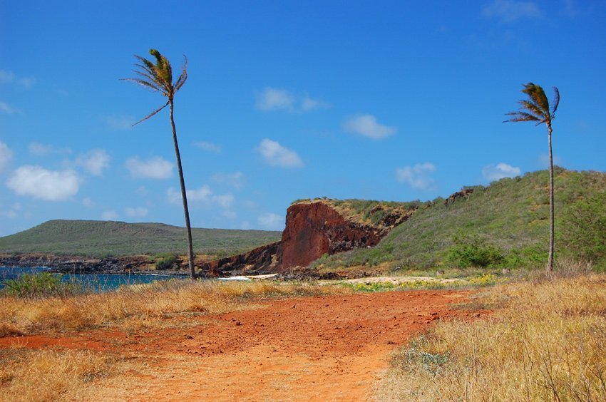 Dirt road leads to Pohakumauliuli Beach