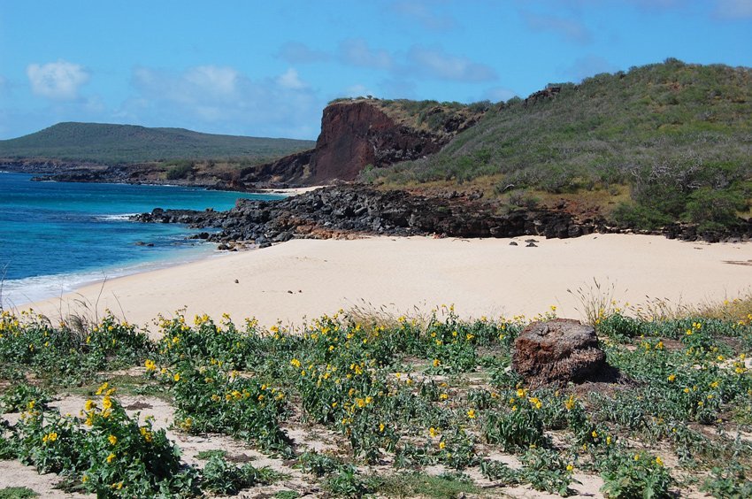 The first Pohakumauliuli white-sand beach