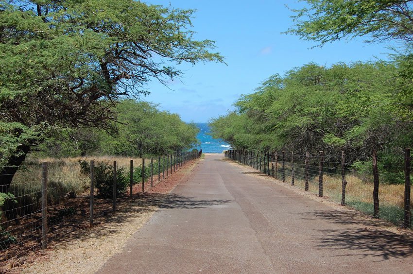 Beach access road