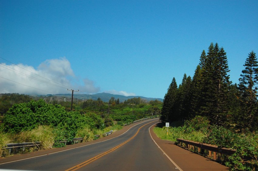 Farrington Avenue Molokai