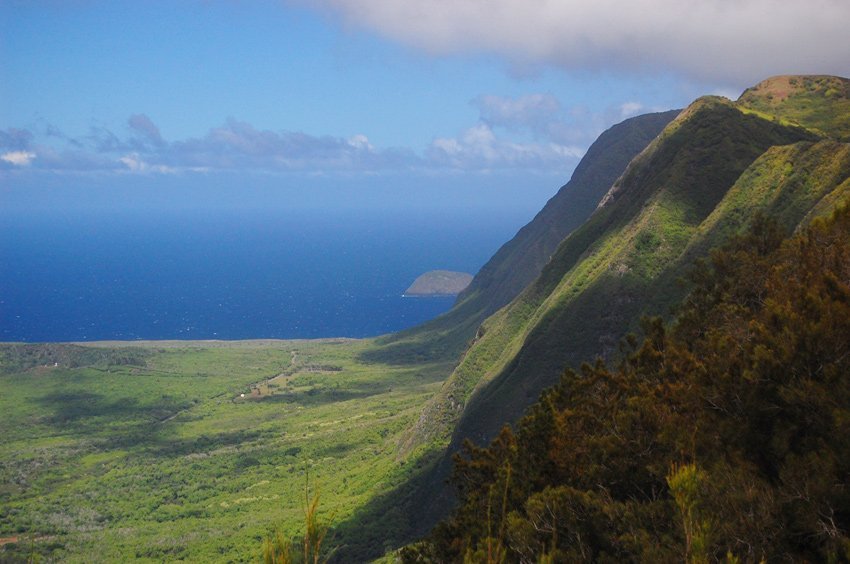 High Molokai sea cliffs