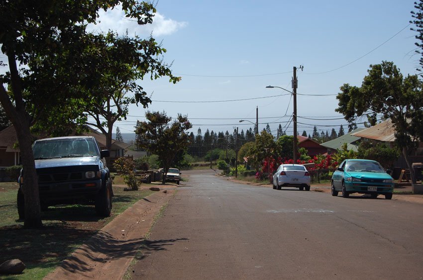 Street in Maunaloa on Molokai