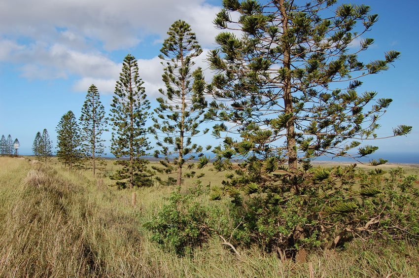 Upcountry Molokai