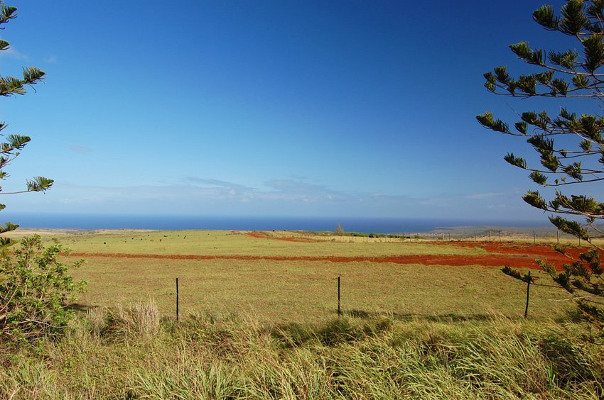 Upcountry Molokai