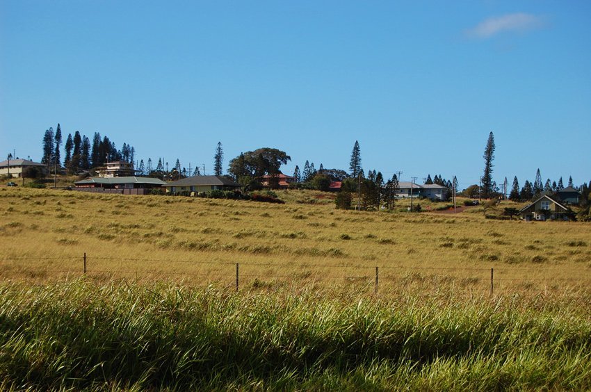 Small town in upcountry Molokai