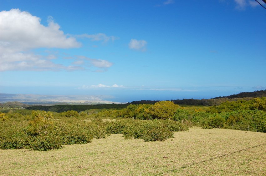 Molokai scenic lookout