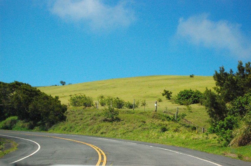 Scenic Molokai drive