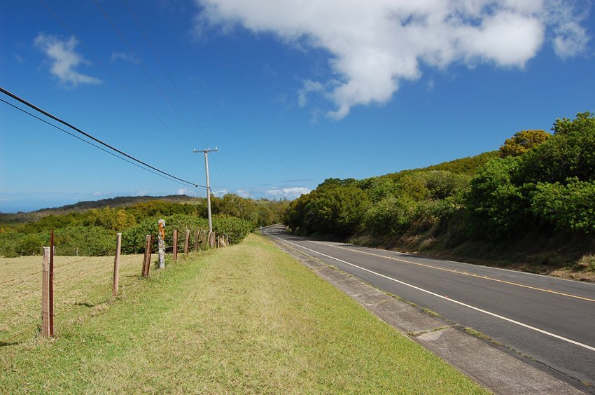 Scenic Molokai road