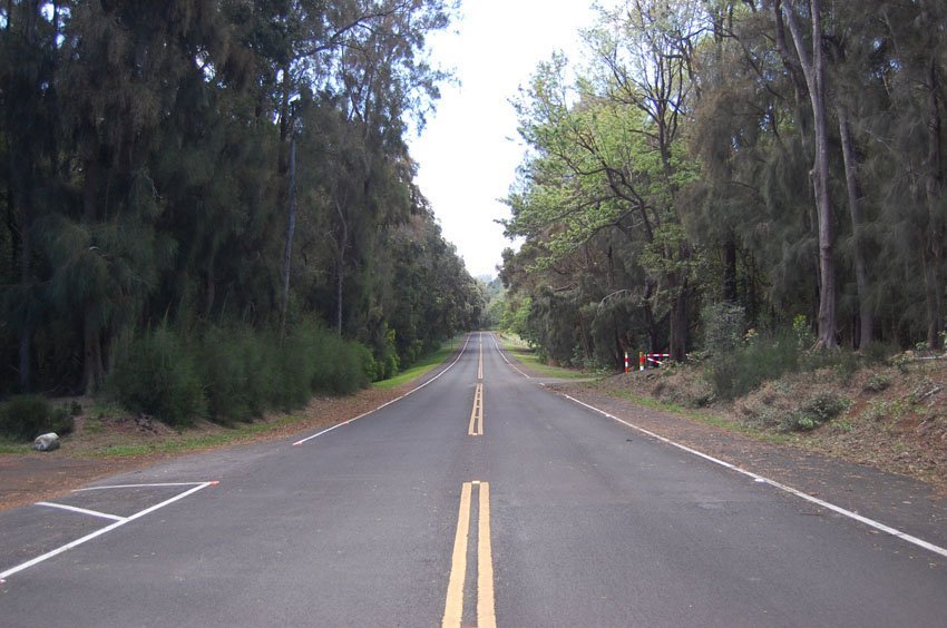 Trees at Pala'au State Park