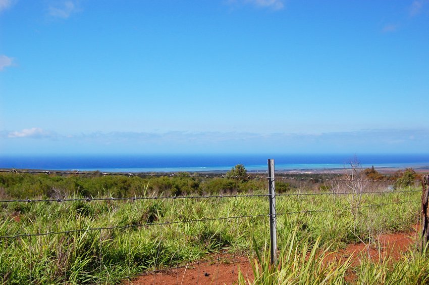 View to the ocean