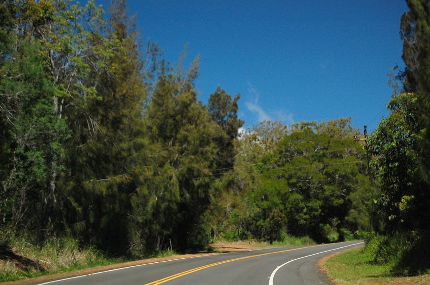 Driving on Route 470