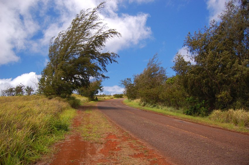 Scenic Molokai drive