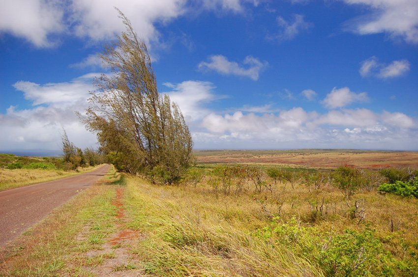 Molokai driving