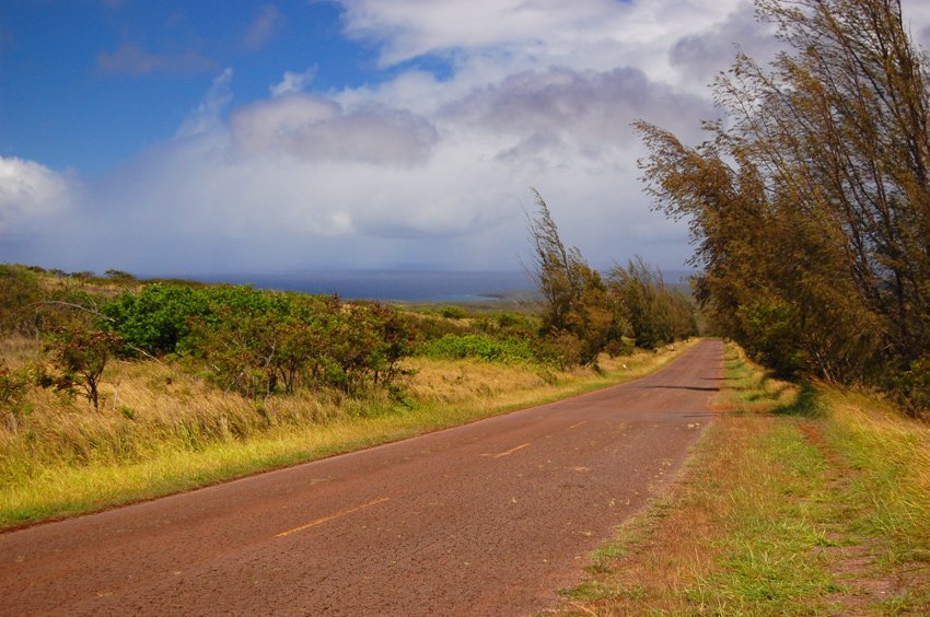 Scenic road on Molokai