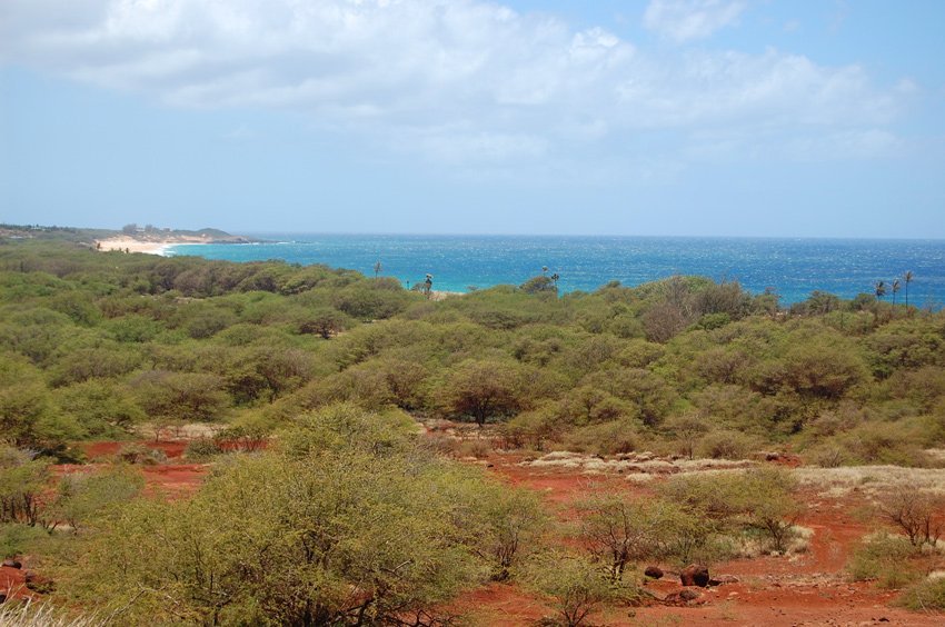 View to Papohaku Beach