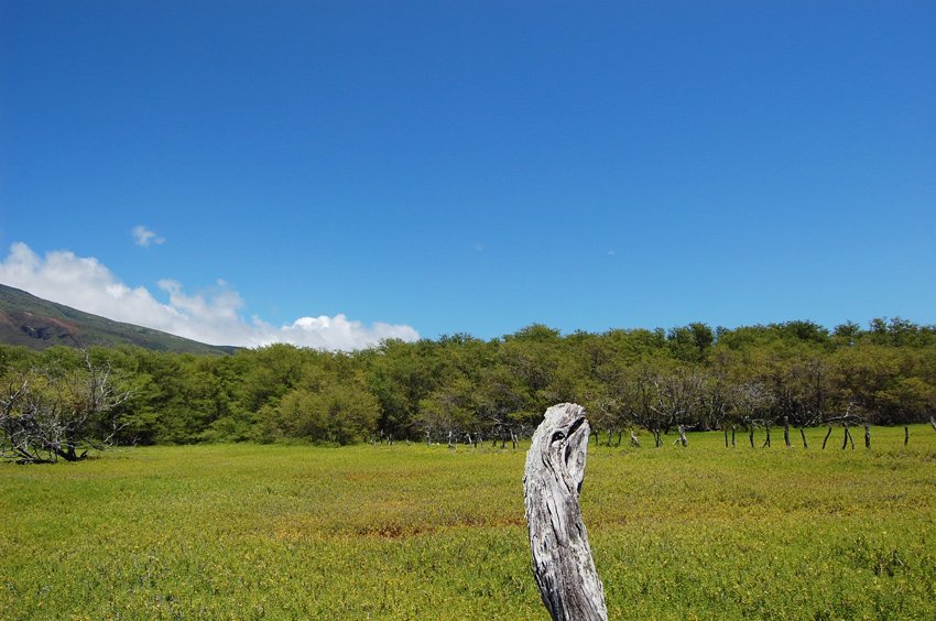 East Molokai scenery