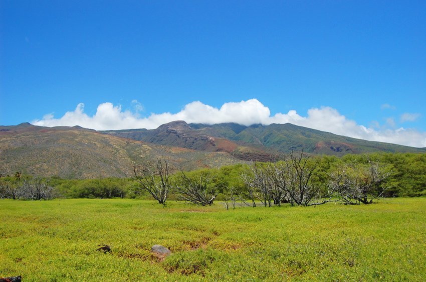 Scenic Molokai views