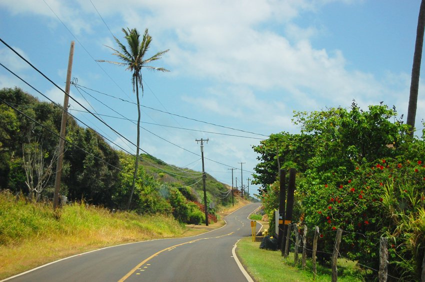 Winding road on Molokai